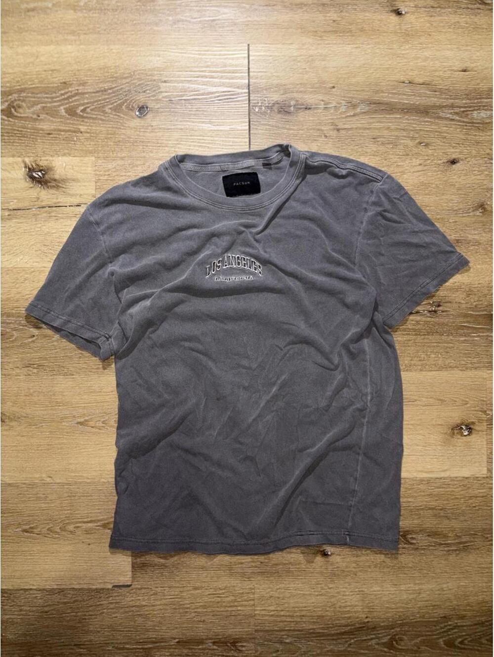 PacSun Men’s Medium Gray Los Angeles Embroidered T-Shirt